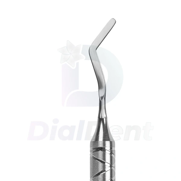 Sdi 29 02 1 Compressify.io  Watermarked
