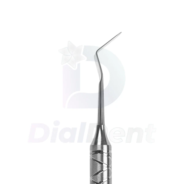 Sdi 29 02 2 Compressify.io  Watermarked